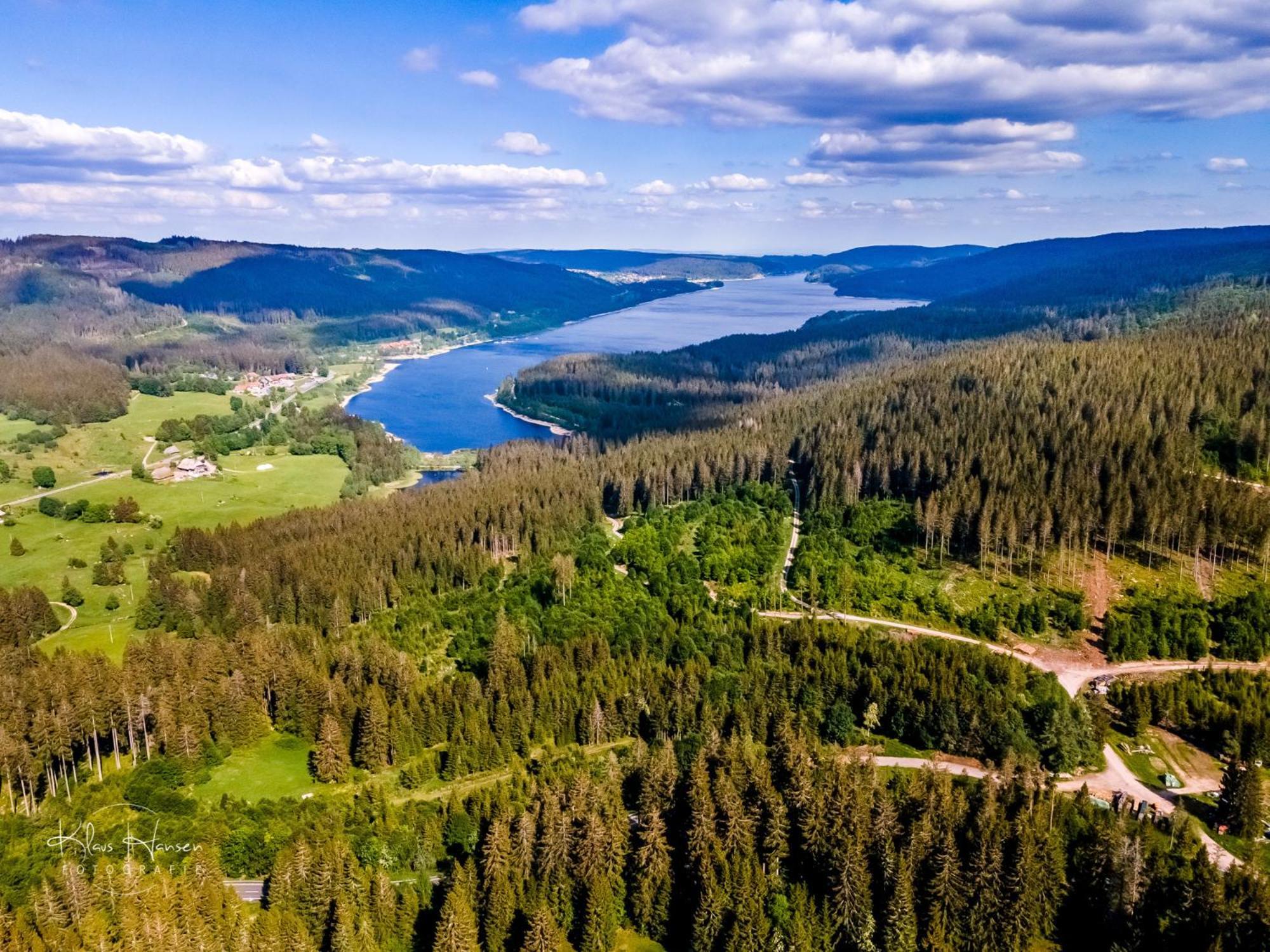Schwarzwaldhorst 1 Fuer 8 Gaeste In Todtnau, Liftverbund Feldberg Eksteriør bilde